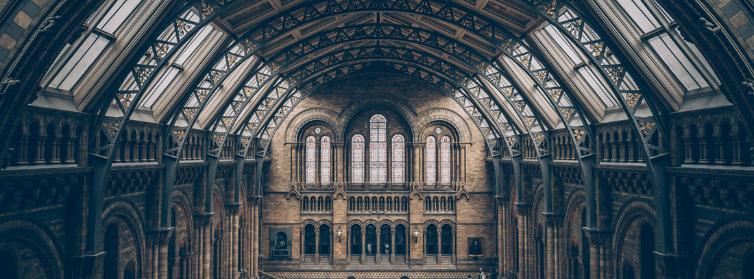 How I Dominated Harvard, Changed Hollywood, and Got to Bed on Time: Thriving in the Era of Brain Enhancement