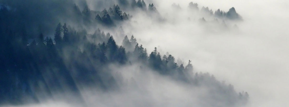 Brain Fog: 6 Solutions To Help You Improve Concentration