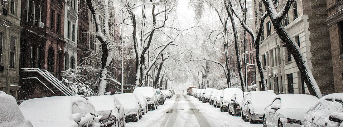 Flu Season is Here: How You Can Prevent Getting Sick